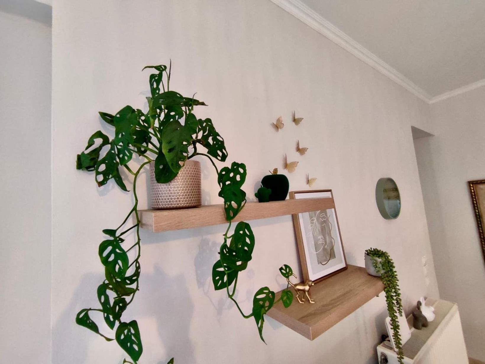 Leilighet Tzitzifianaki Cozy Khania